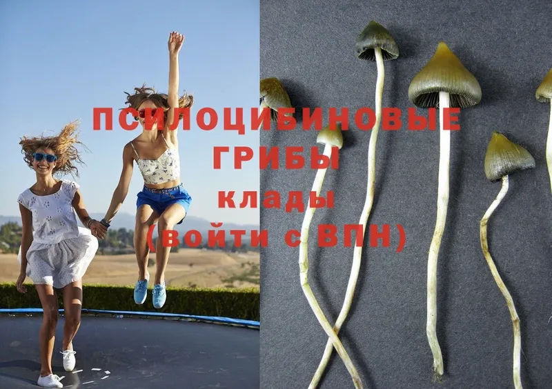 Галлюциногенные грибы Magic Shrooms  Ангарск 