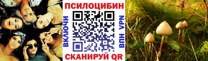 Псилоцибиновые грибы мухоморы  купить наркотик  Ангарск 
