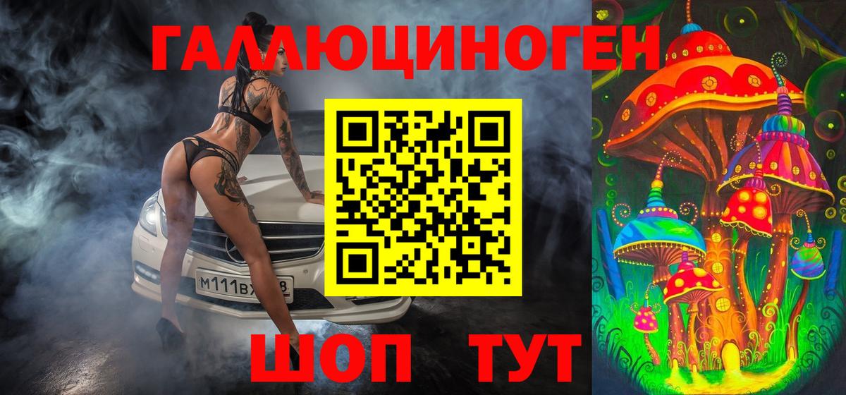 Псилоцибиновые грибы Psilocybe Ангарск