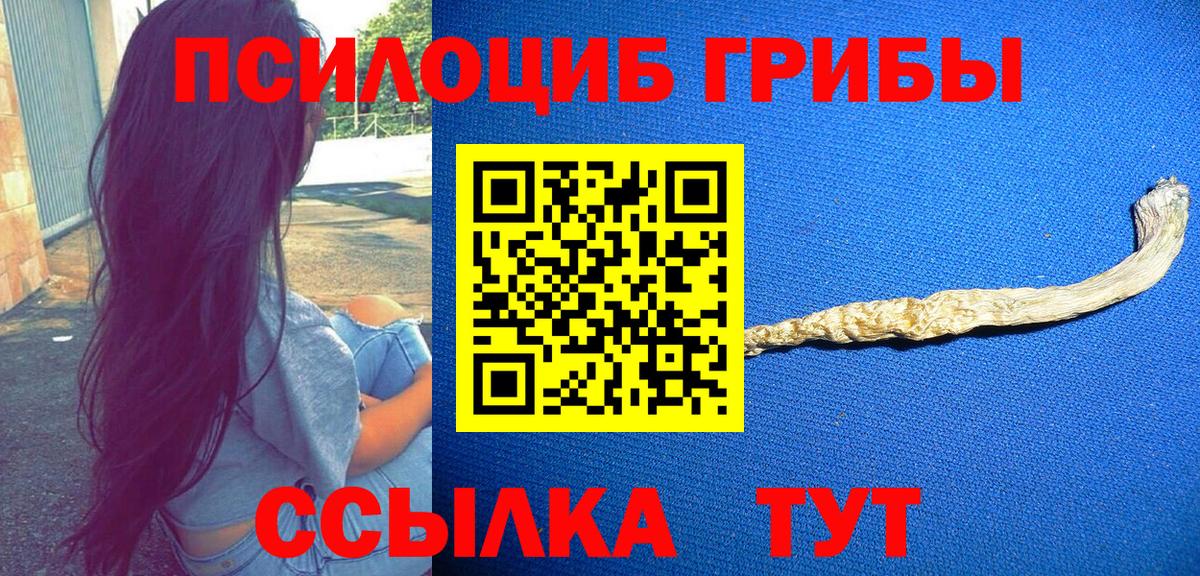 Галлюциногенные грибы мицелий  Псилоцибиновые грибы Psilocybe  Ангарск  Вход с VPN 