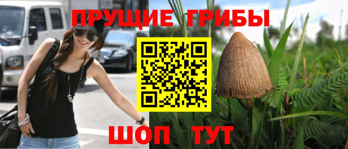 Псилоцибиновые грибы Psilocybe  Галлюциногенные грибы Psilocybe  купить наркотики сайты  Ангарск  Вход с VPN 